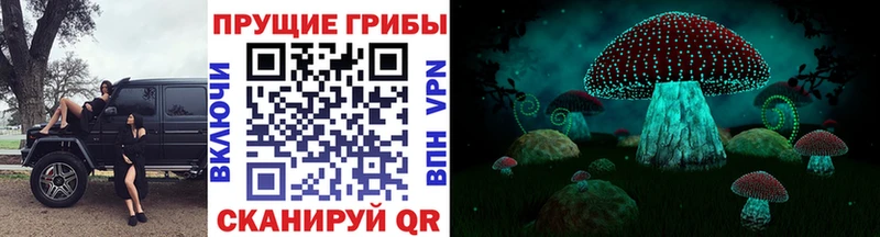 Галлюциногенные грибы Psilocybine cubensis  KRAKEN tor  Абдулино 